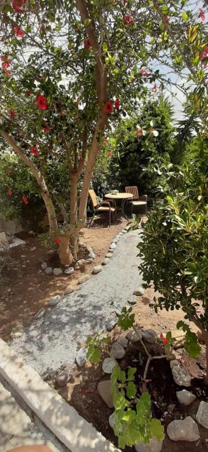 Yialos Studios-Apartments Makrýgialos Eksteriør billede